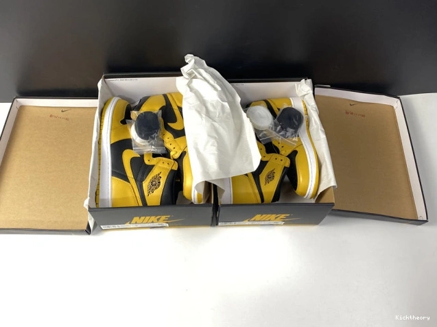 Kicktheory High Pollen Retro OG 1 Air 555088-701 Jordan 0630